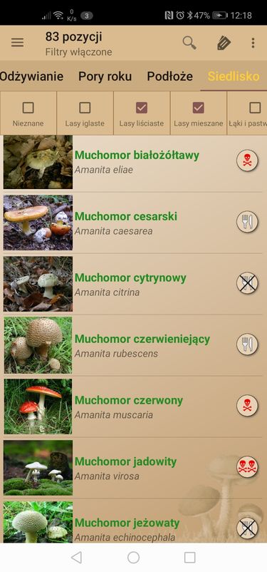 Atlas Grzybów: wybrałam grzyby występujące w lasach liściastych i mieszanych