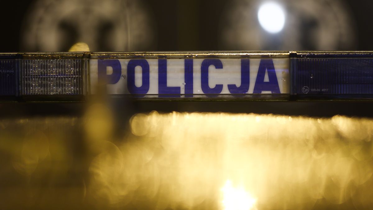 Brutalne pobicie w parku