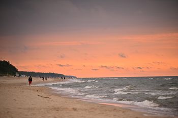 Martwy wieloryb na plaży. Dopiero co był zatopiony w Świnoujściu