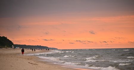 Martwy wieloryb na plaży. Dopiero co był zatopiony w Świnoujściu