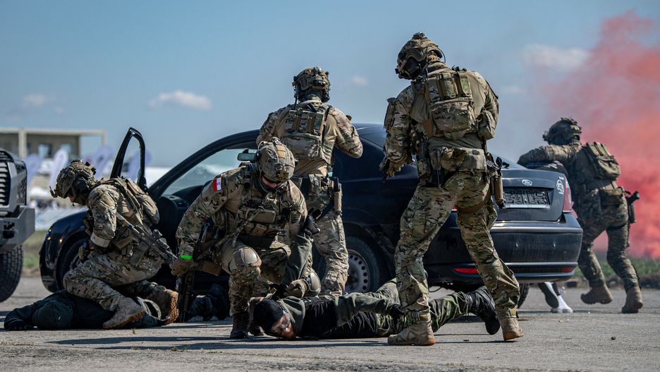 Dni NATO w Ostrawie. Na zdjęciu jednostka GROM 