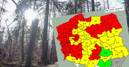 Zagrożenie pożarowe w lasach. W niektórych miejscach jest już ekstremalne sucho