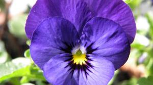 TOP 3: Na Dzień Matki nie tylko kwiatki... 1