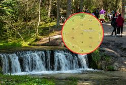 Wraca mróz. Synoptycy są pewni. Musisz zobaczyć tę mapę