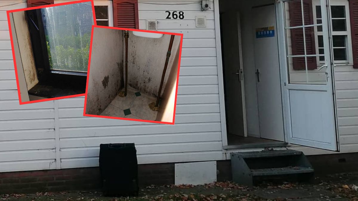 W takich warunkach mieszkają Polacy pracujący w Holandii