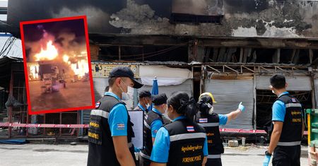 Około tysiąca zwierząt spłonęło żywcem. Przerażające nagrania z Bangkoku