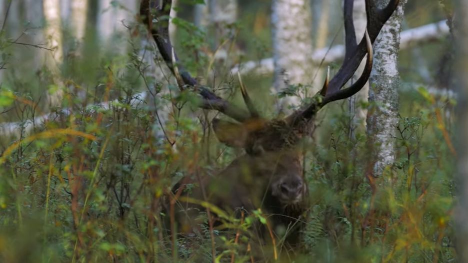 Stowarzyszenie "Partnerstwo dla Doliny Baryczy"