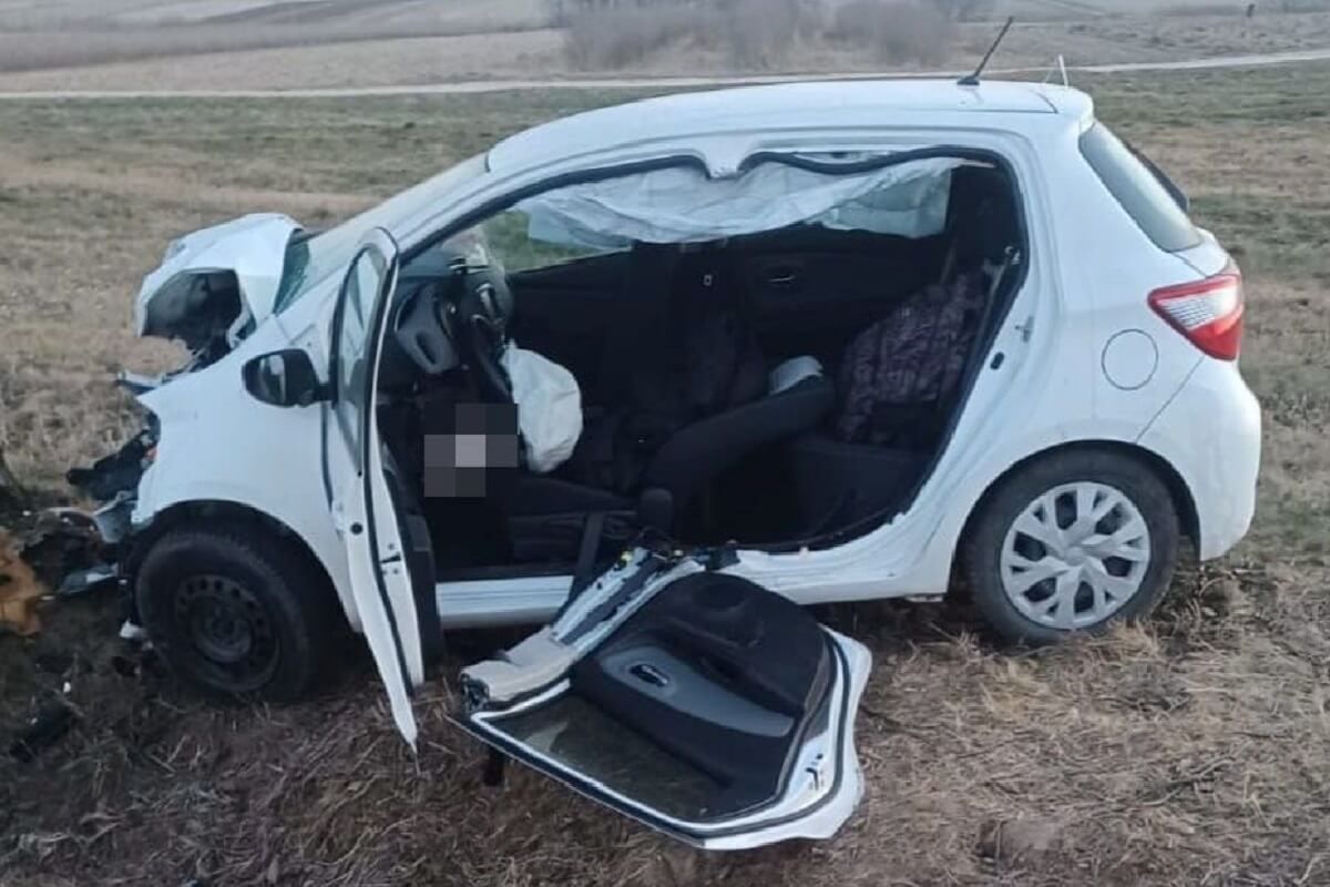 Uszkodzona Toyota po zderzeniu z sarną