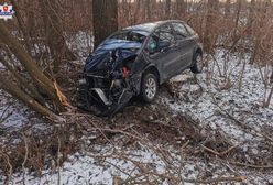 Pijana matka wiozła trójkę dzieci. Wjechała do rowu