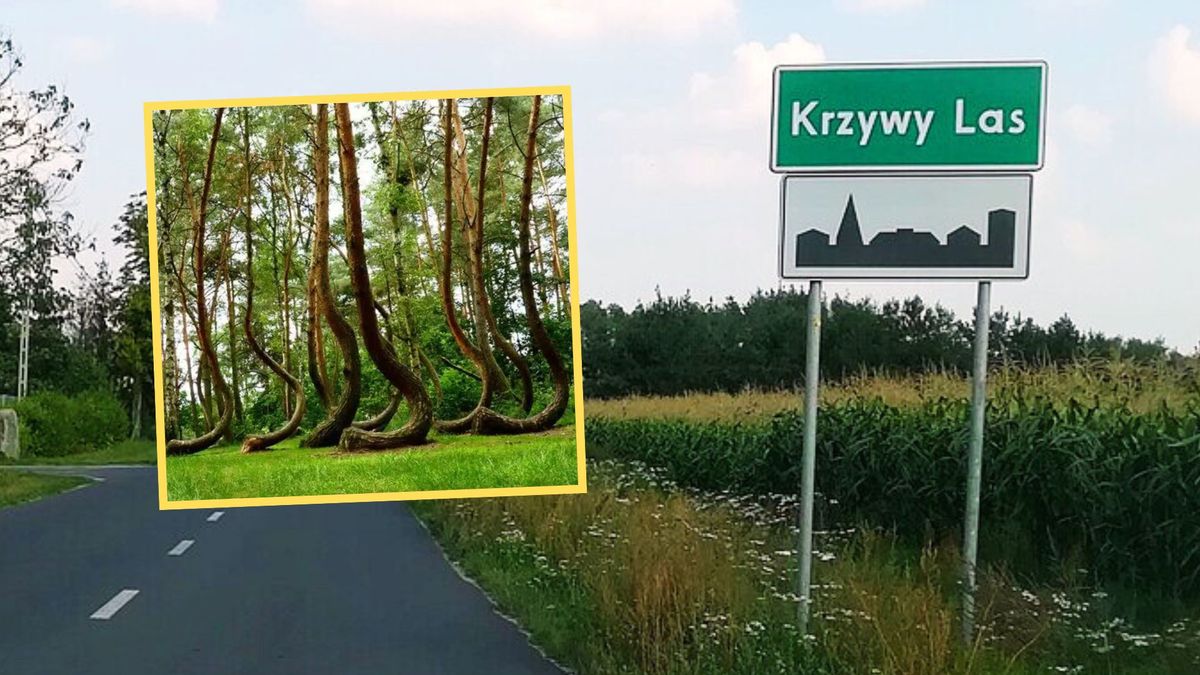 Polski „Krzywy Las” na łamach francuskich mediów