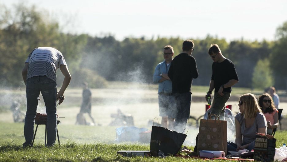 Reporter baza 2020-06-a
22.04.2018 Warszawa, Ogniska i grille w lesie kabackim Fot. Jakub Wosik/REPORTER
Jakub Wosik/REPORTER