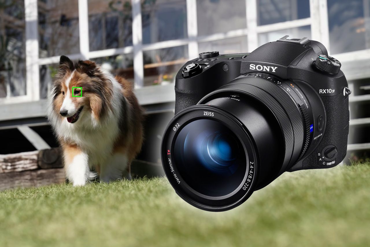 Sony RX10 IV otrzyma wykrywanie oczu zwierząt za darmo