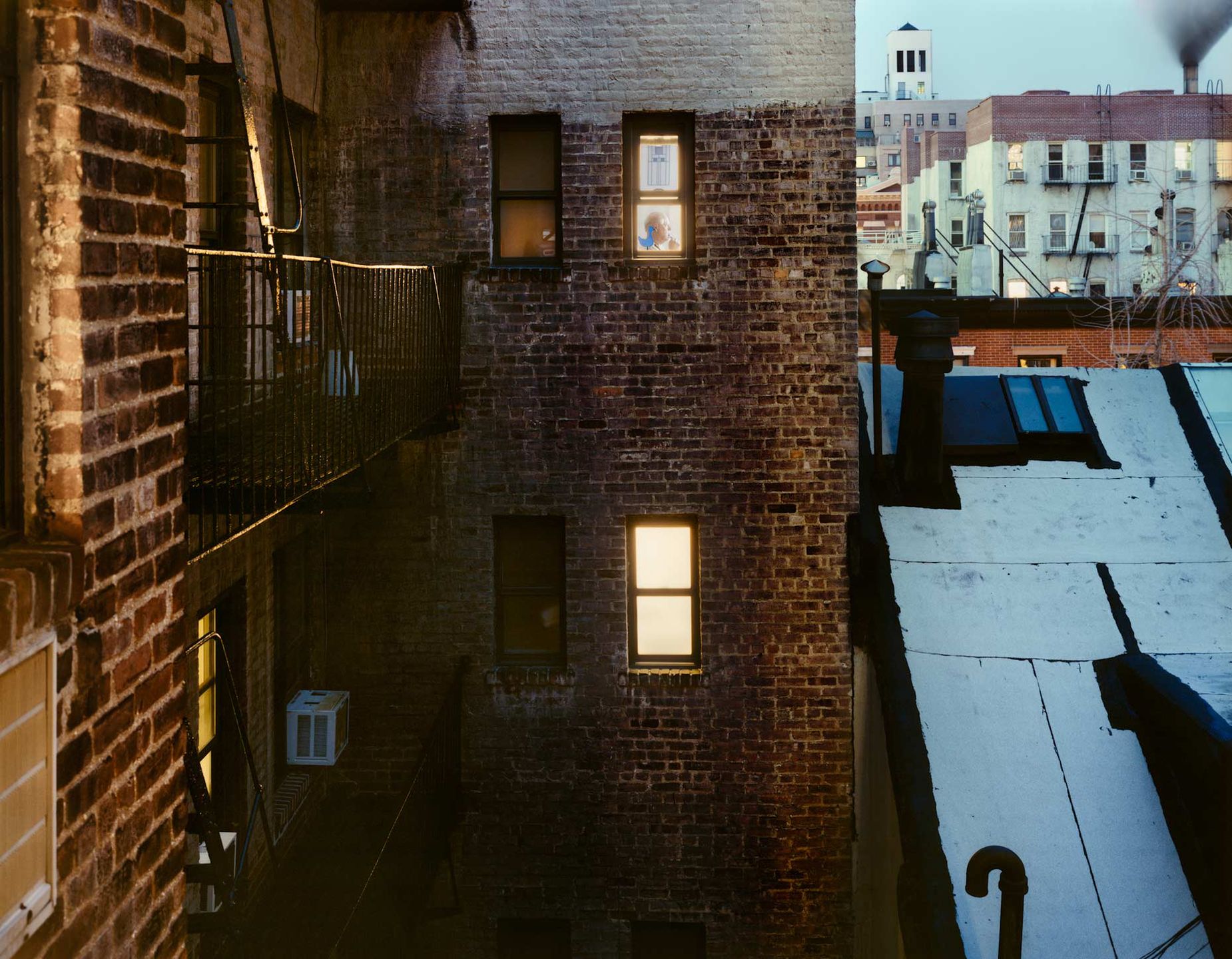 Out My Window - jak pięknie podglądać przez okno 11