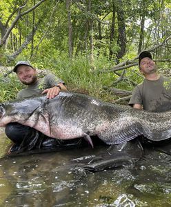 Złapał "potwora" na okonia. Niemcy biją brawo. Polak ujawnia szczegóły