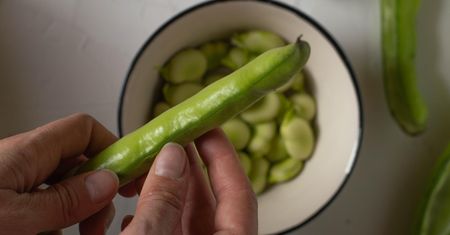 Obniża poziom cholesterolu i koi nerwy. Jak wybrać dobry bób?