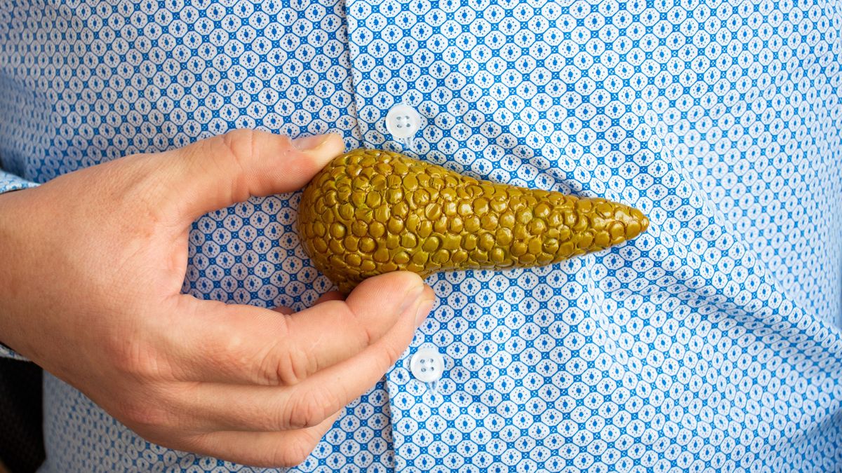 Przełom w badaniach nad rakiem trzustki? Komórki nowotworowe żywią się kwasem hialuronowym