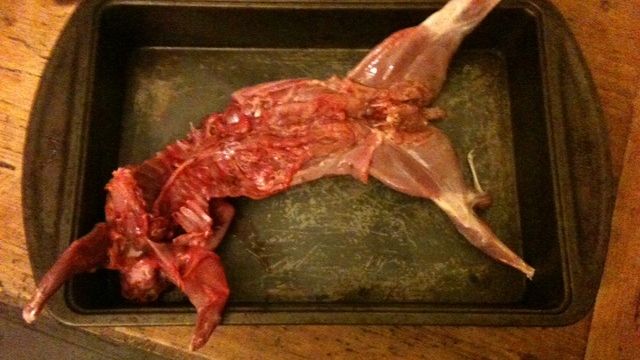 Surowe mięso z zająca