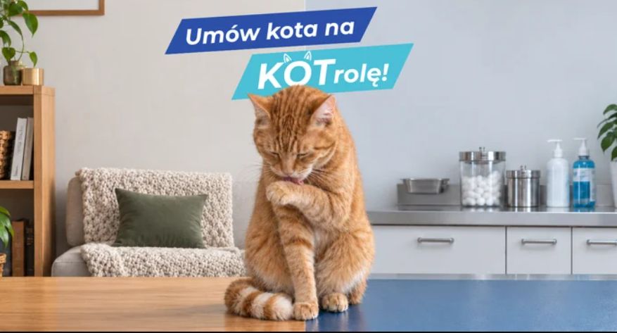Polprovet z kampanią "Umów kota na KOTrolę!"