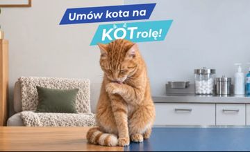 Polprovet z kampanią "Umów kota na KOTrolę!"