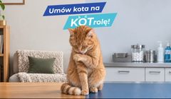 Polprovet z kampanią "Umów kota na KOTrolę!"