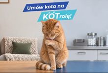 Kampania KOTrola