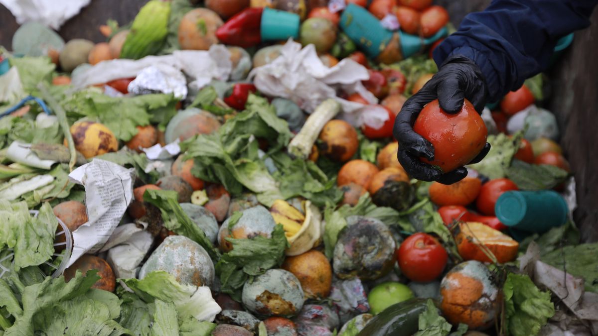 Żywność wyrzucana do kosza - to jedno z większych utrapień naszej cywilizacji (zdj. ilustracyjne).