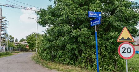 Przebudowa ul. Boryszewskiej i Urodzajnej