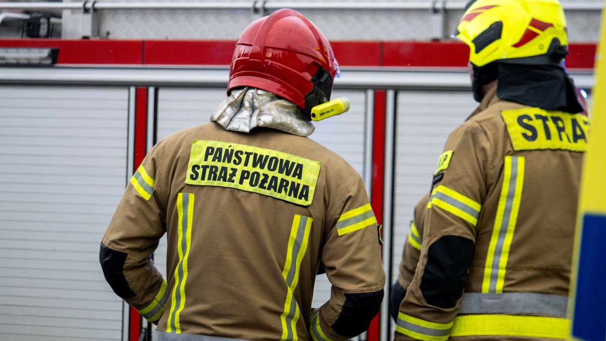 East News archiwum
Fot. NewsLubuski/East News, Zielona Gora, 15.02.2025. N/z strazacy
NewsLubuski