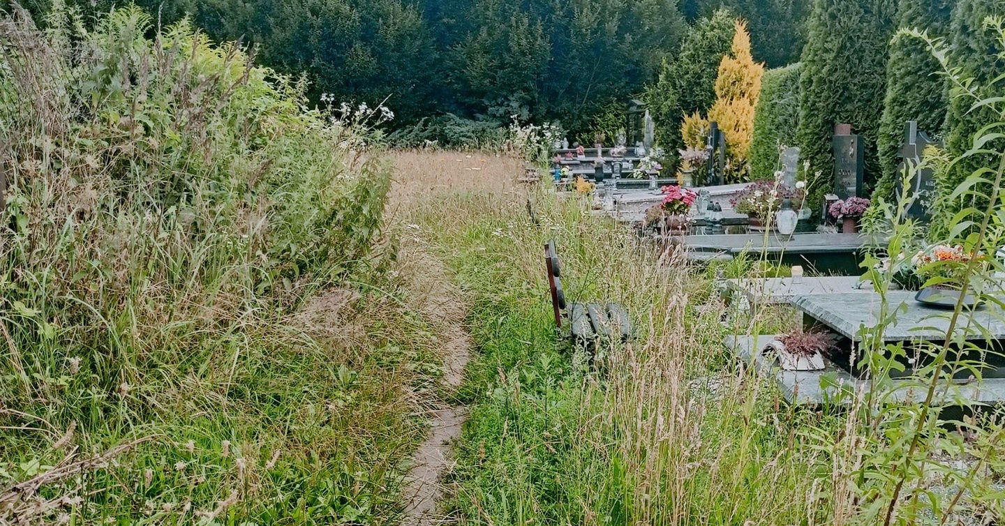 Cmentarz w Koszalinie