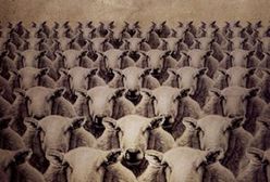 Korona. Krwawy sekret tronu Henryka VIII