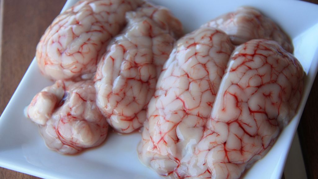 Surowy mózg jagnięcy