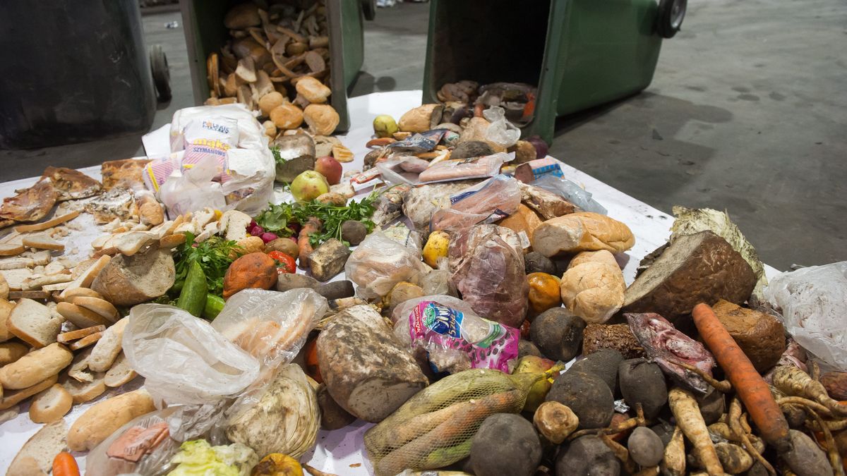 jedzenie, śmietnik