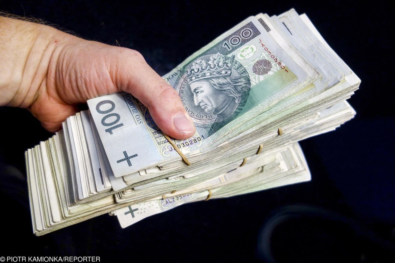 Oszczędności Polaków. Oto kwota, która zapewnia poczucie bezpieczeństwa