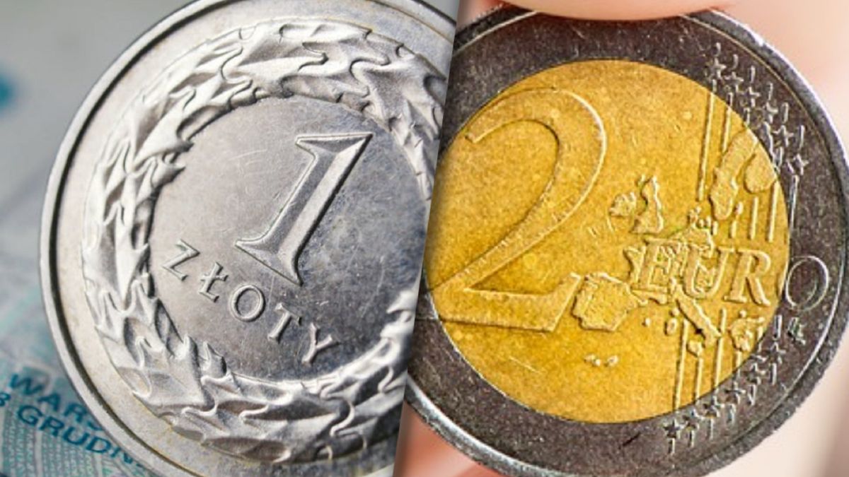 Złoty coraz silniejszy