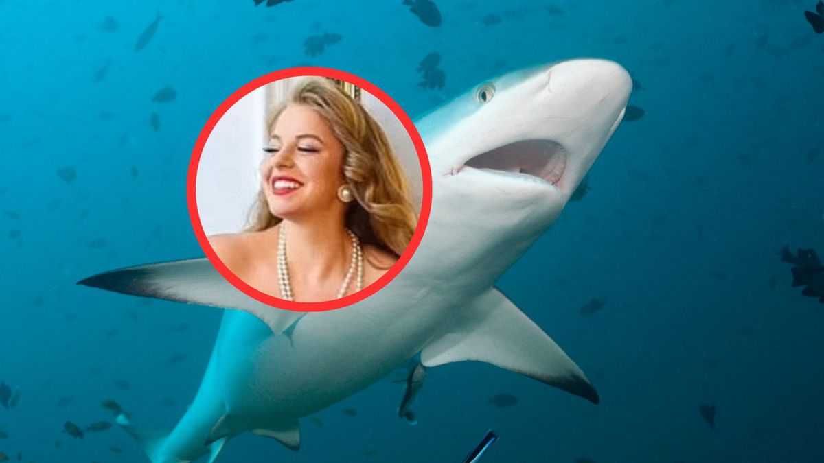 Rekin zaatakował Rosjankę