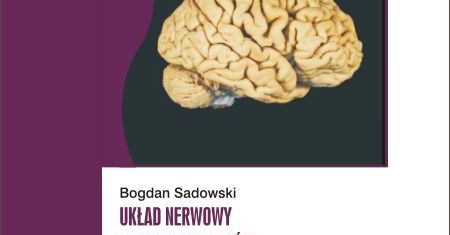 Dziewczyna w pustyni i w puszczy, czyli przygoda na miarę XXI wieku