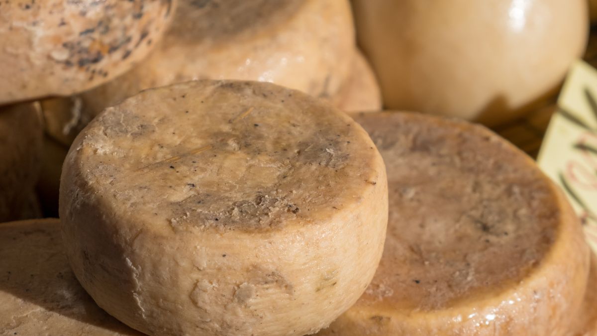 Casu marzu skutecznie zniechęci cię do serów