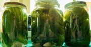 Układam ogórki w słoikach i robię specjalną zaprawę. Każdy, kto spróbuje, prosi mnie o przepis