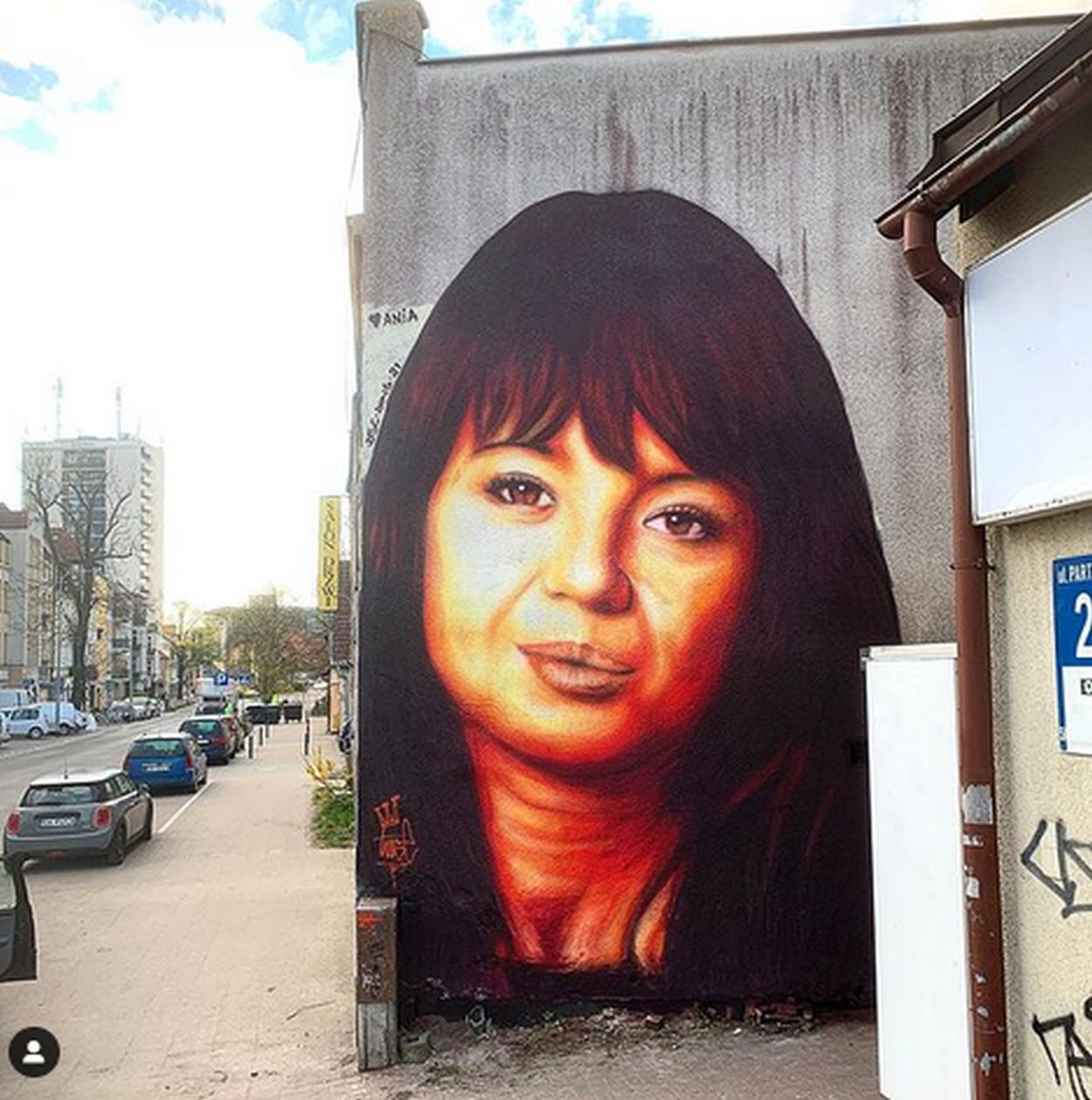 Mural z Anną Przybylską