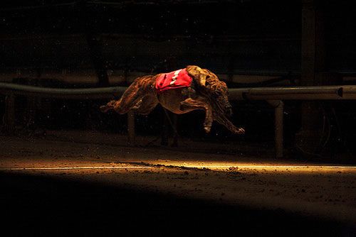 Polak najlepszym fotografem amatorem w Europie 20