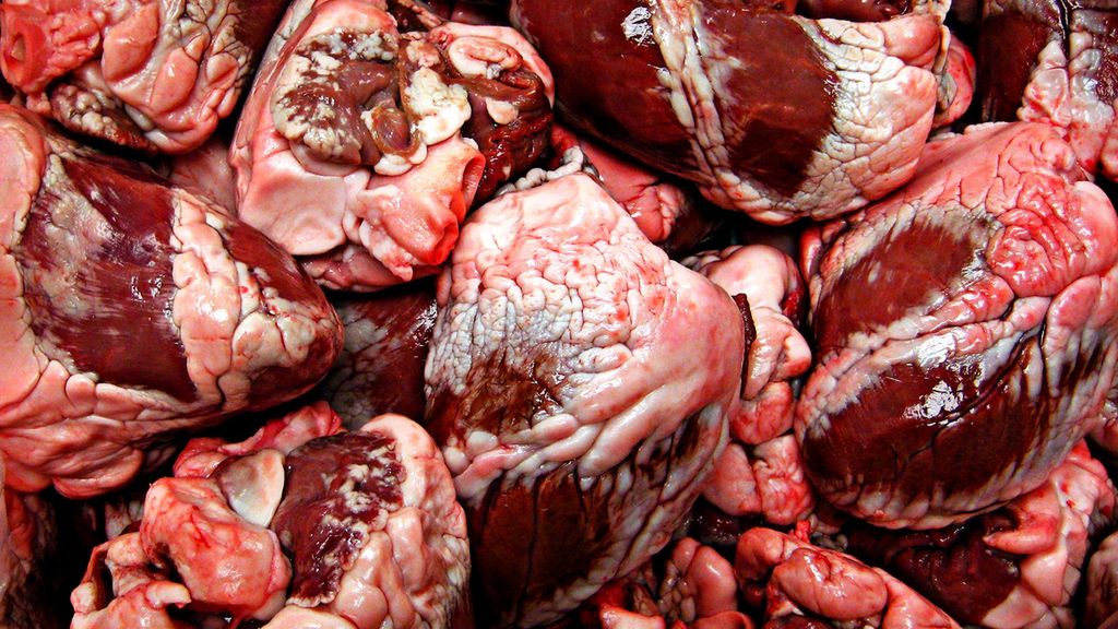 Surowe serce jagnięce