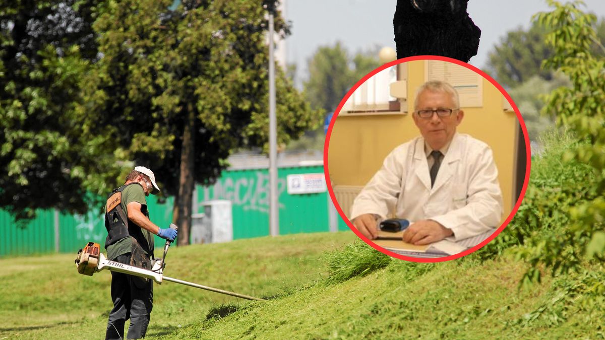 Znany alergolog uważa, że koszenie traw to konieczność