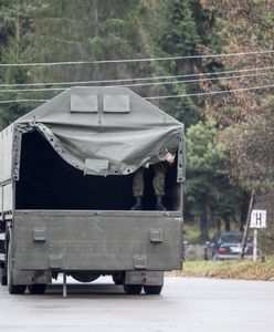 Kolejny żubr nie żyje. Zwierzę zginęło pod kołami wojskowej ciężarówki
