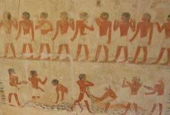 Ważne odkrycie w Egipcie. Znaleziono warsztaty do mumifikacji