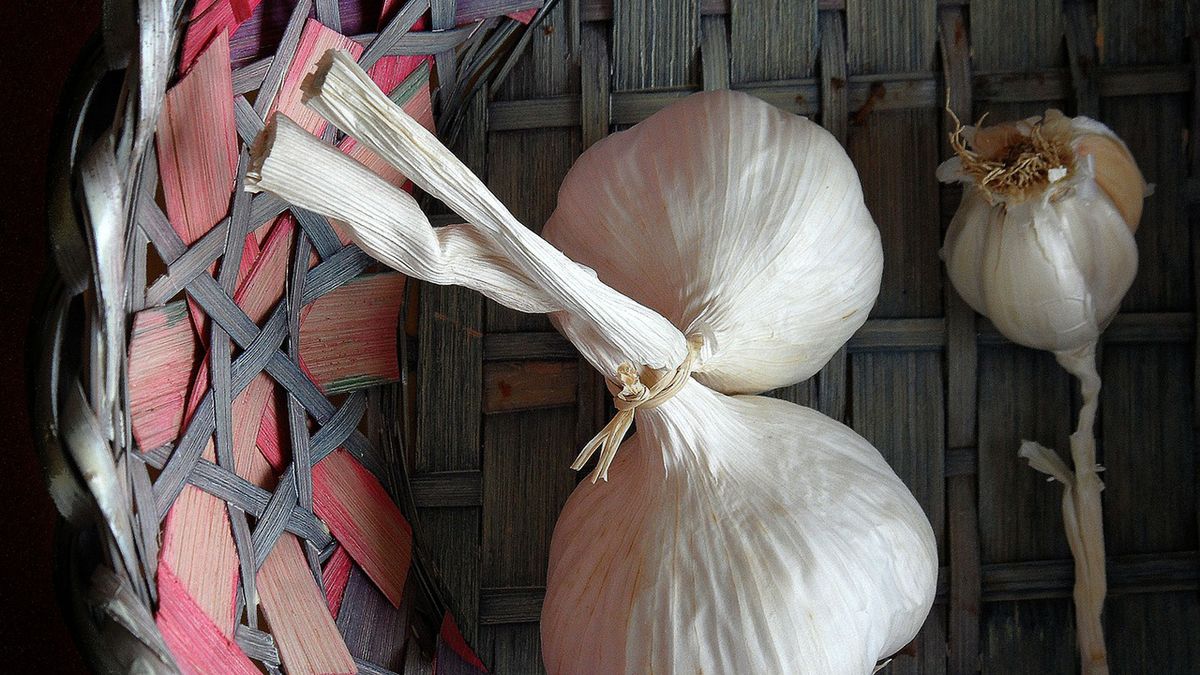 Jak wzmocnić odporność?