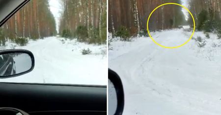 Patrolowali las. Nagle stało się to. Leśnik był w szoku
