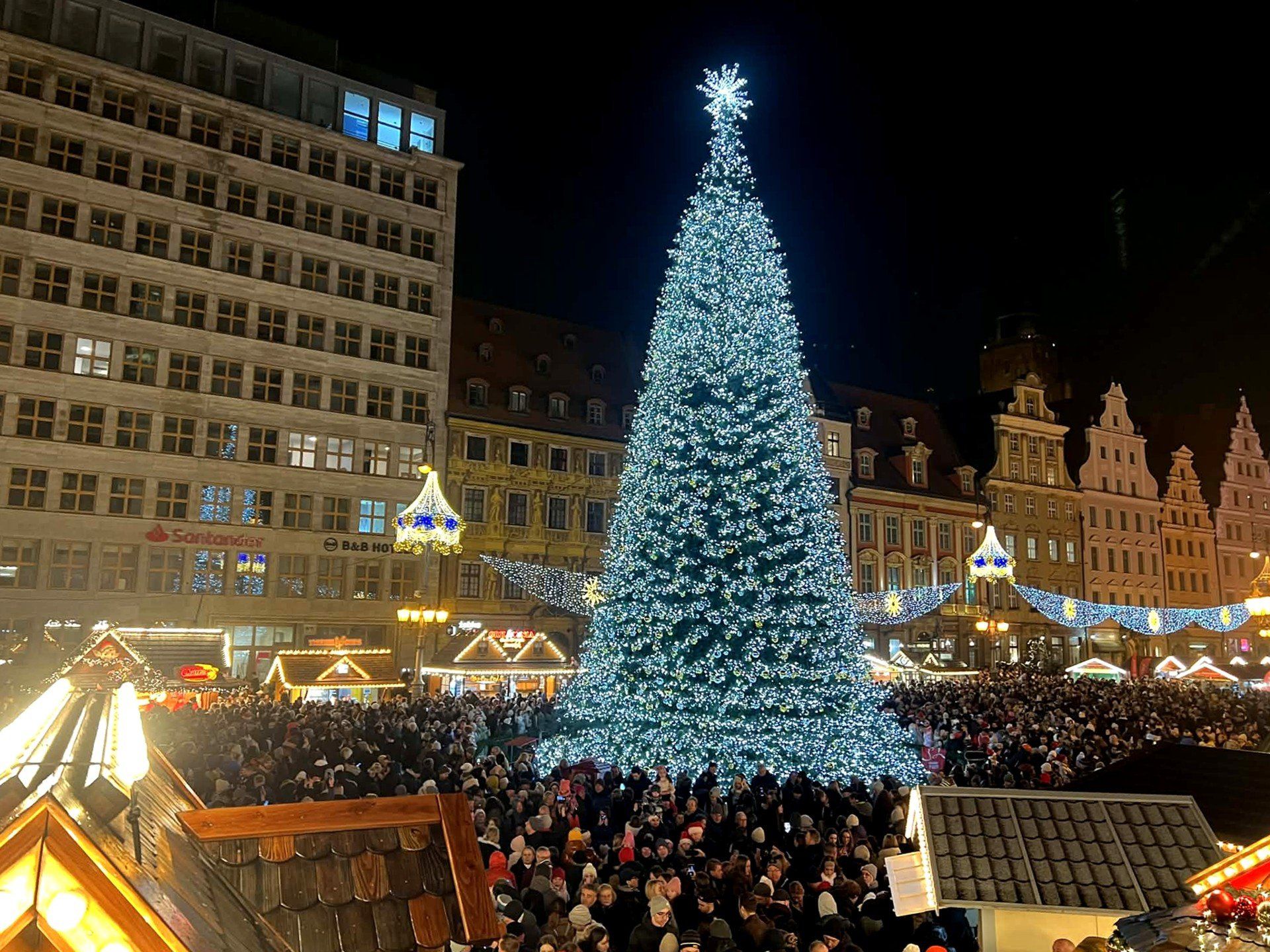 Odpalenie lampek na choince w Rynku.