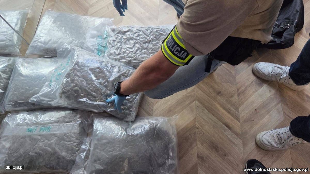 Rozbili grupę narkotykową. Zabezpieczono kokainę wartą miliony