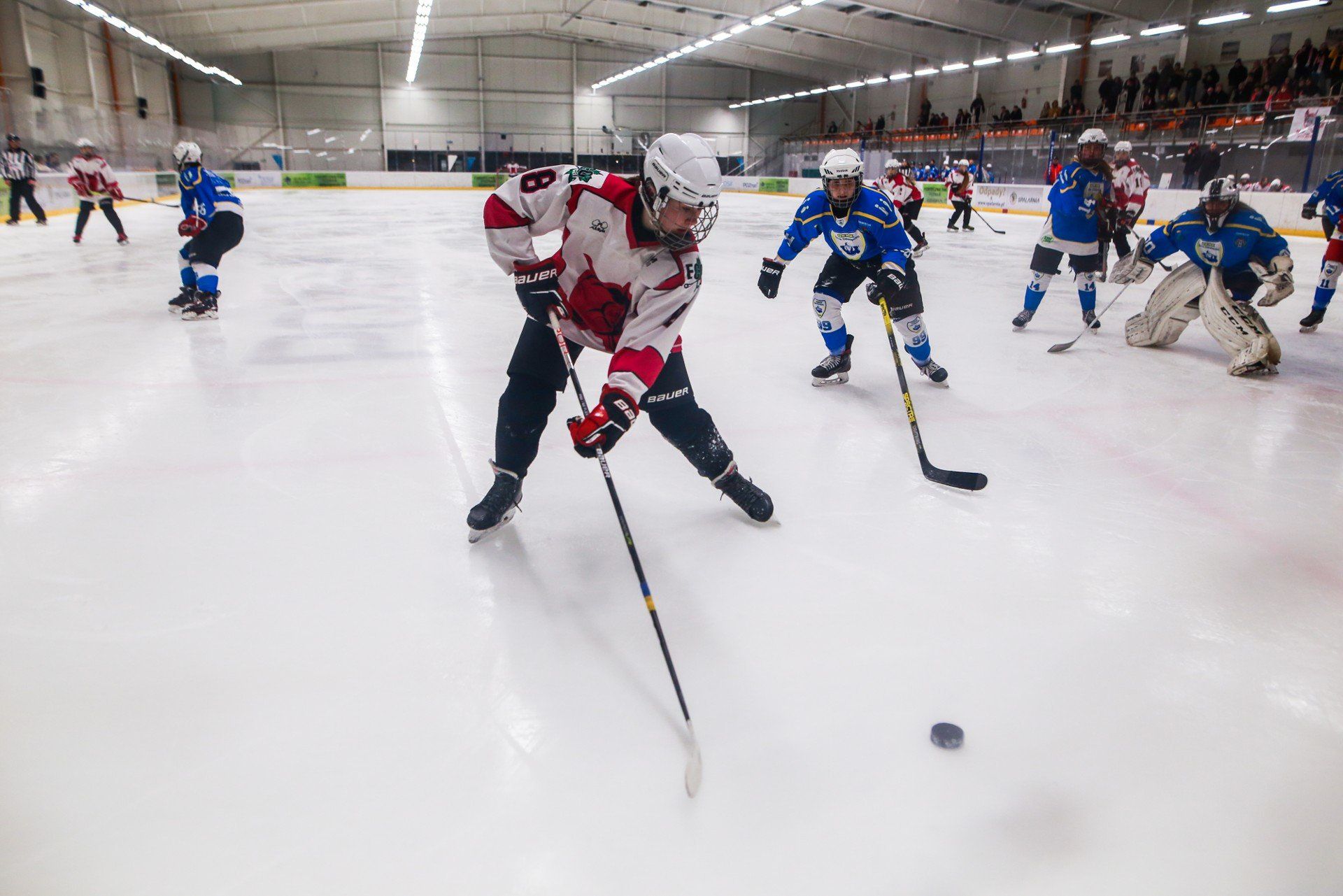 Tauron Hokej Liga Kobiet: PTH Kozice Poznań - Atomówki GKS Tychy