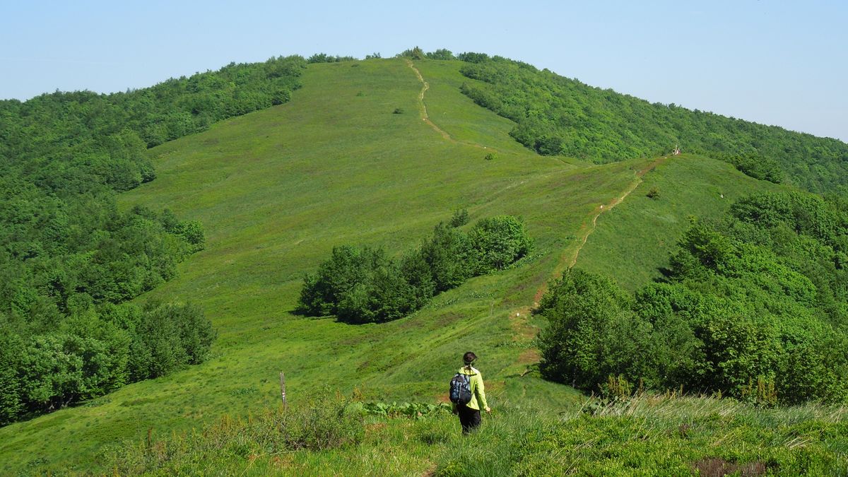 Nowy rezerwat przyrody - Dziurkowiec, leży zaledwie 3 km od gran